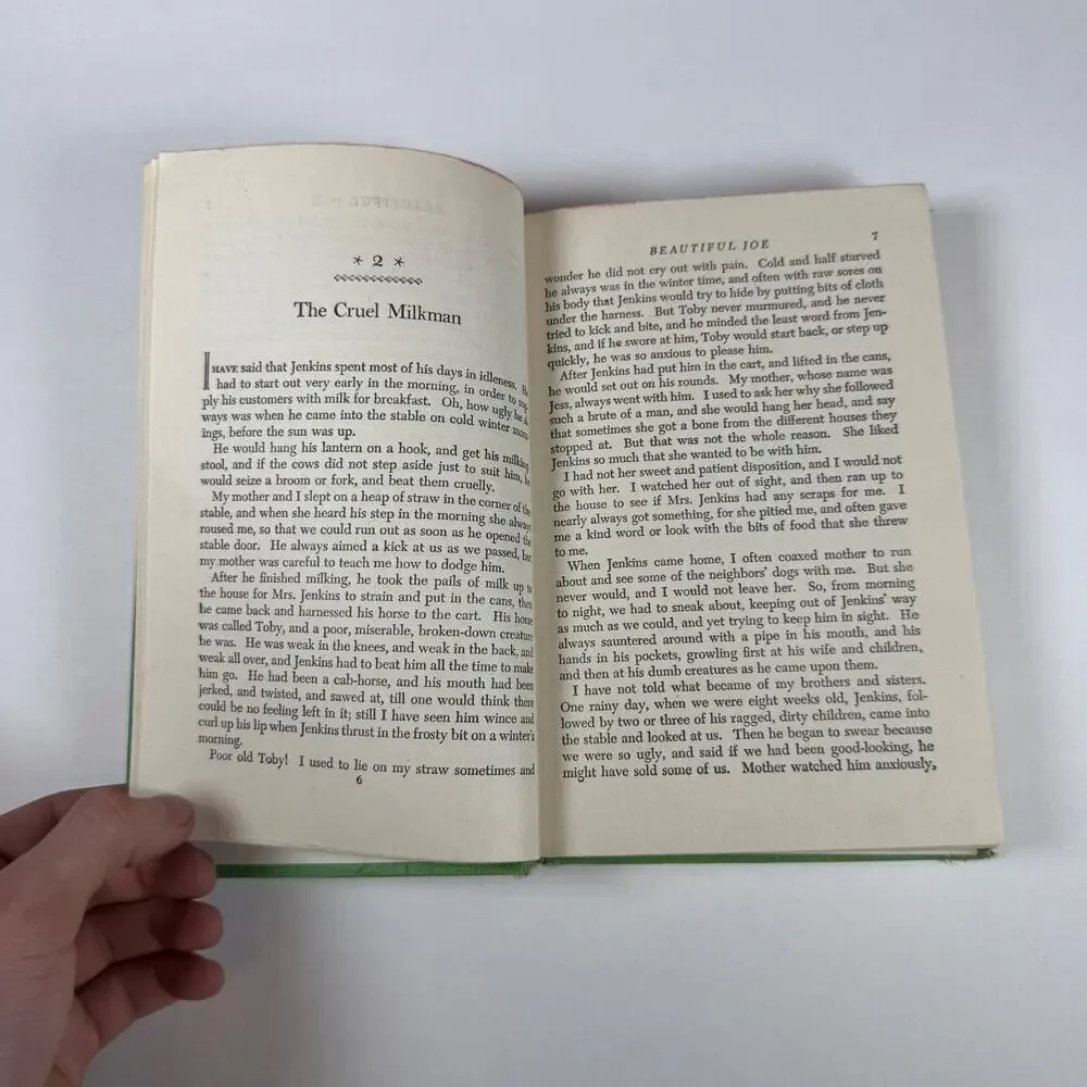 Beautiful Joe by Marshall Saunders 1920 Antique book